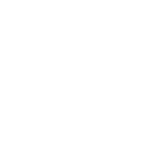 SERWIS